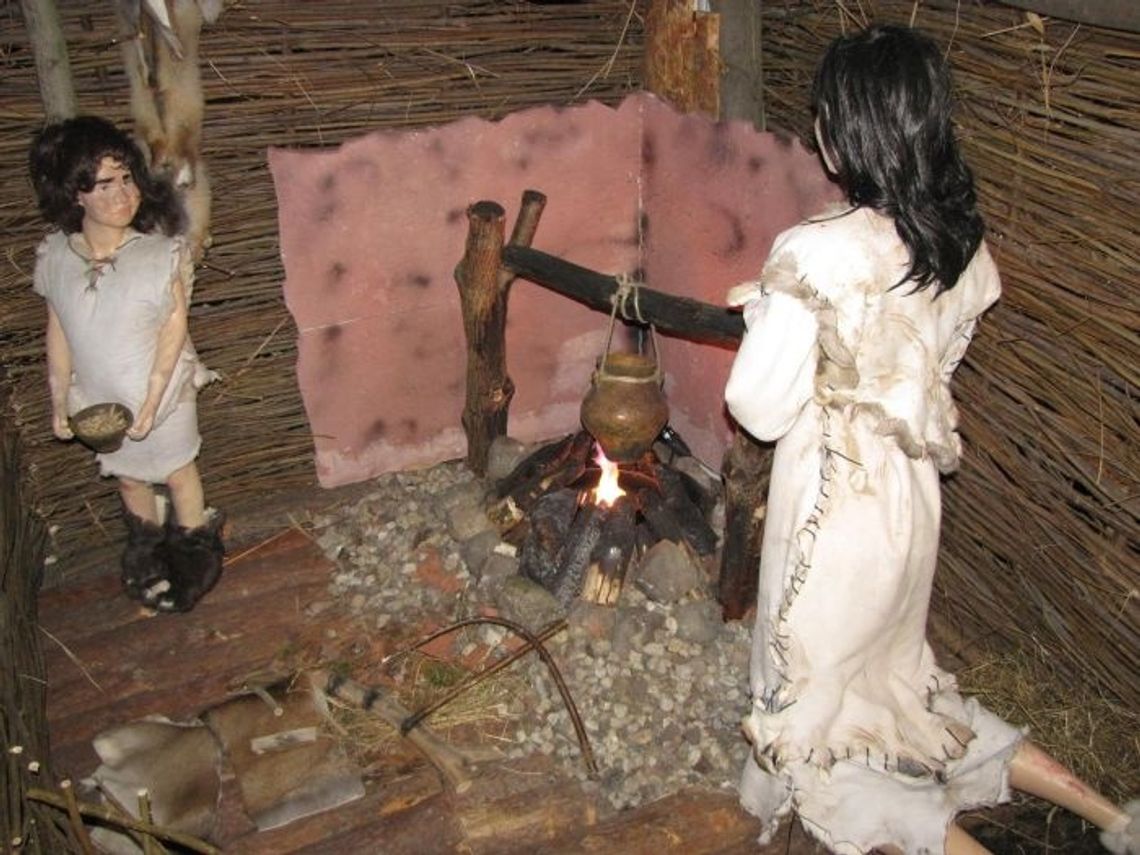 „Pradzieje Tczewa” – wielka wystawa na jubileusz 750-lecia miasta