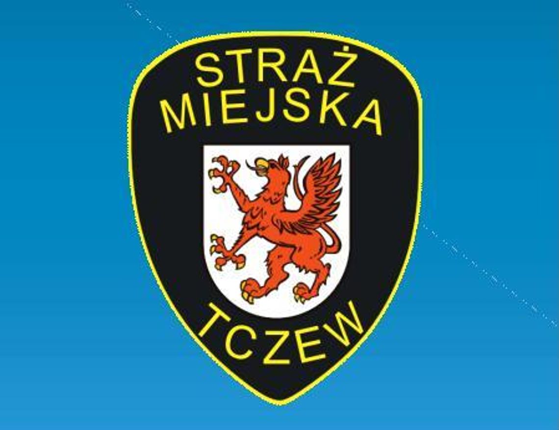 Prawie 10 tys. interwencji straży miejskiej w 2012 roku Prawie 10 tys. interwencji straży miejskiej w 2012 roku