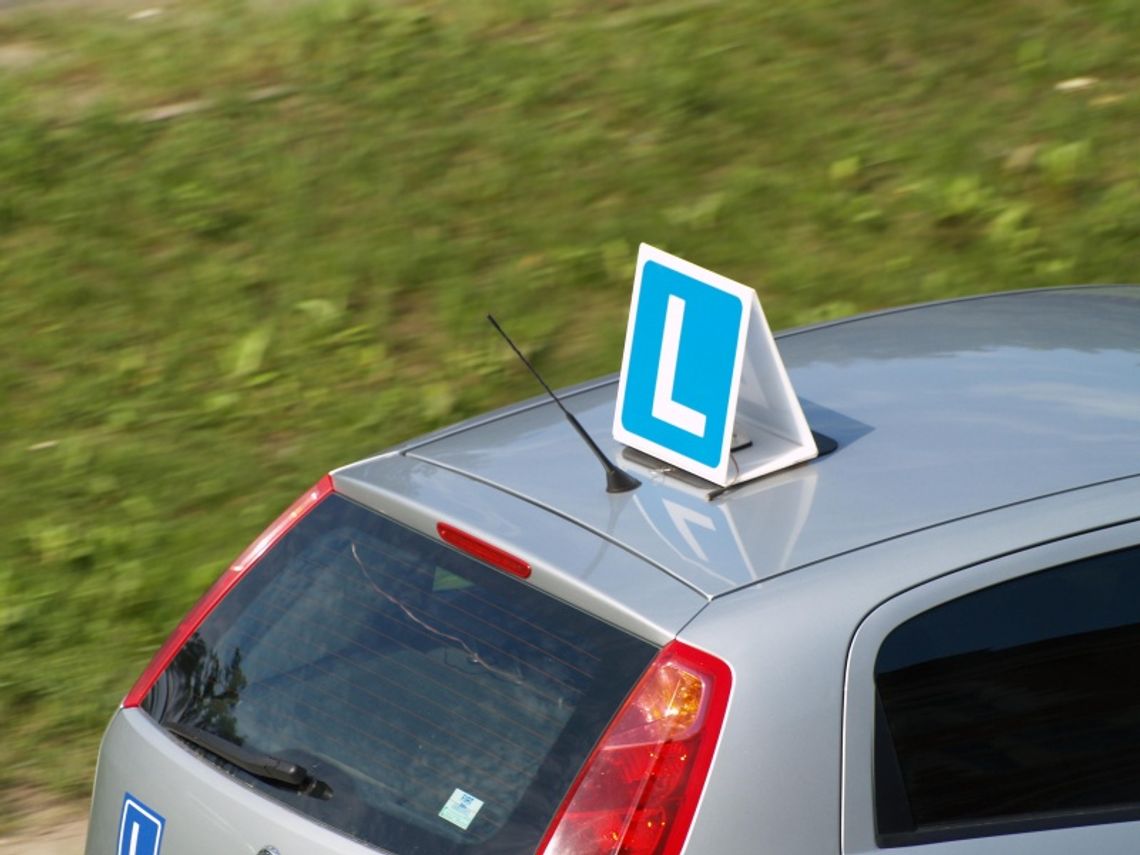 Prawo jazdy na lewo - za łapówkę