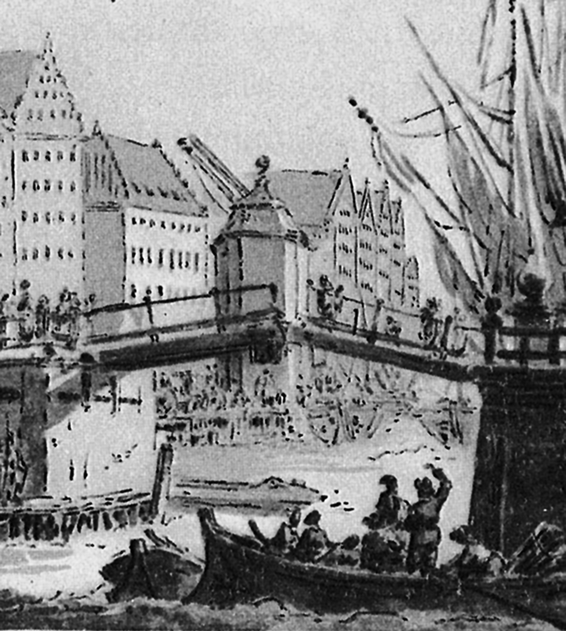 Prof. Januszajtis: Gdańsk w świecie żurawi