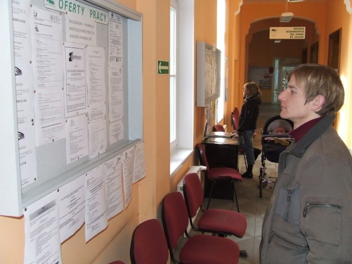 Profilowanie bezrobotnego Profilowanie bezrobotnego