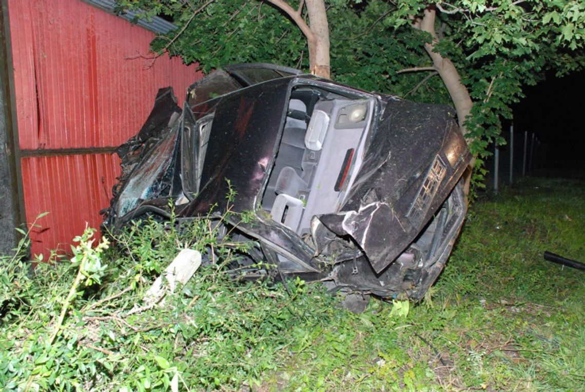 PROMILAMI W DRZEWO PROMILAMI W DRZEWO