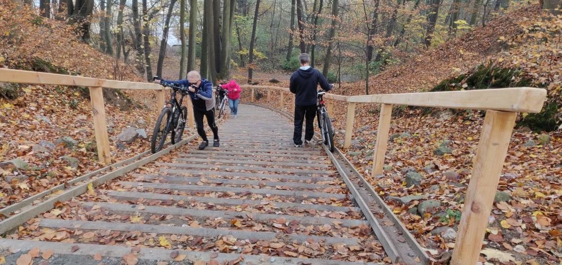 Prowadnice rowerowe. W Gdyni jest ich coraz więcej 