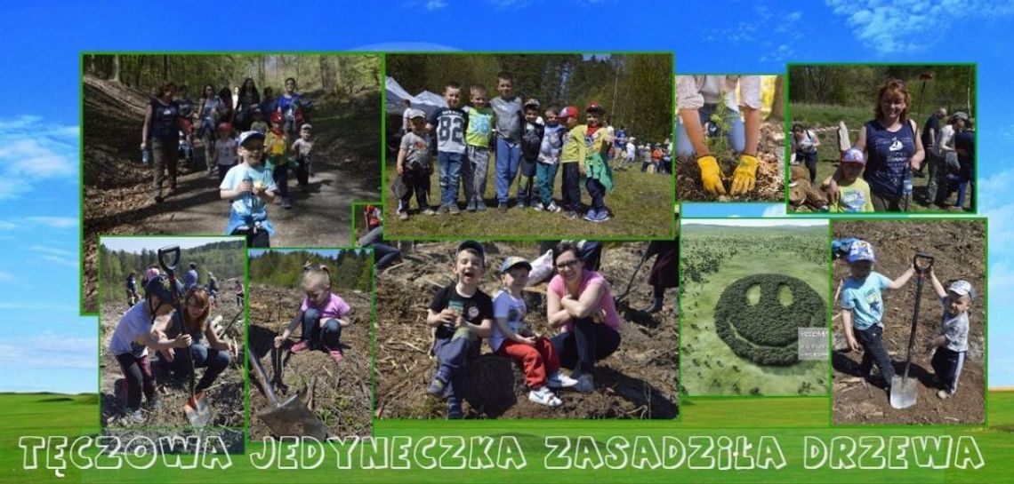 Przedszkolaki sadzą drzewa