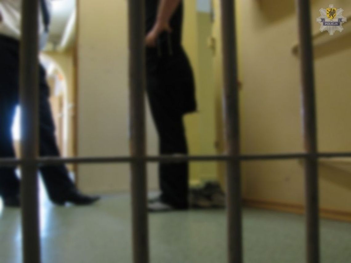 Przejażdżka karawanem, po kolizji schował się w parku Przejażdżka karawanem, po kolizji schował się w parku