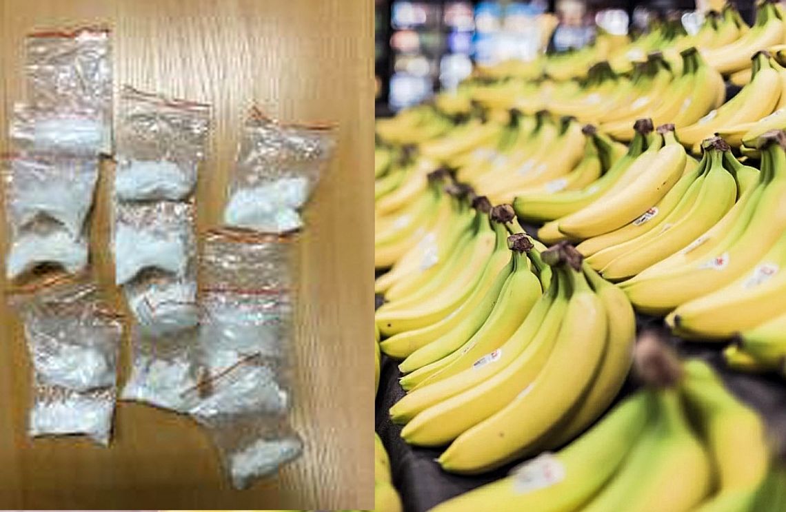 Przemyt narkotyków w bananach! Policjanci zabezpieczyli kilkadziesiąt kilogramów 