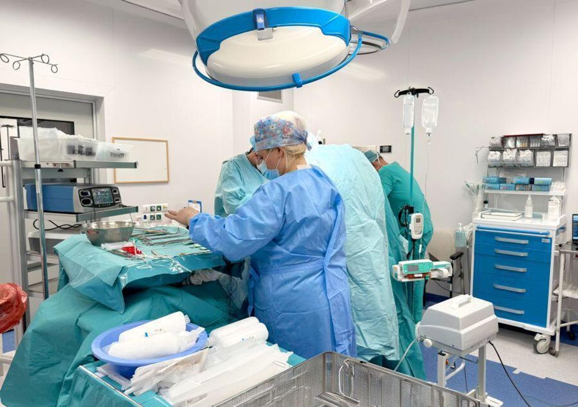 Przeprowadzono pierwsze transplantacje w tym roku