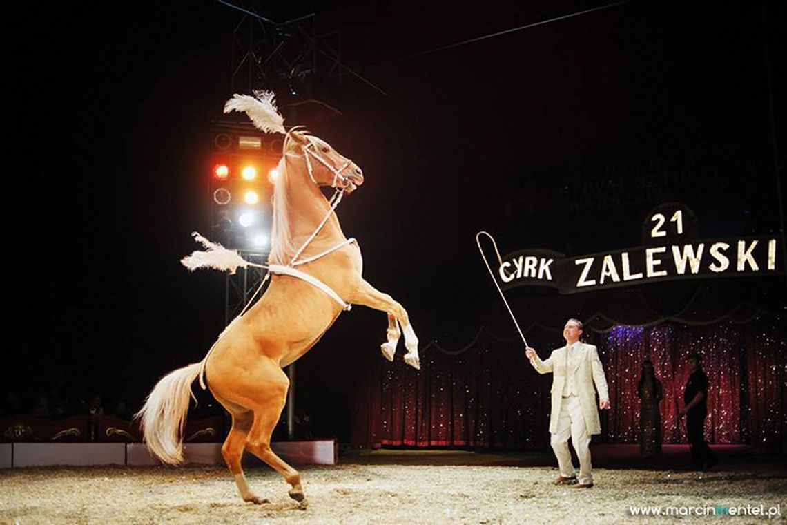Przyjechał Cyrk Zalewski Przyjechał Cyrk Zalewski