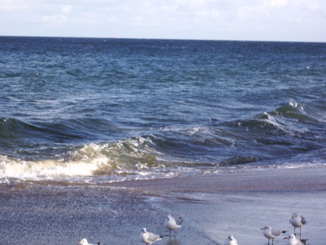Przyjechał z rodziną na wczasy, utopił się w morzu