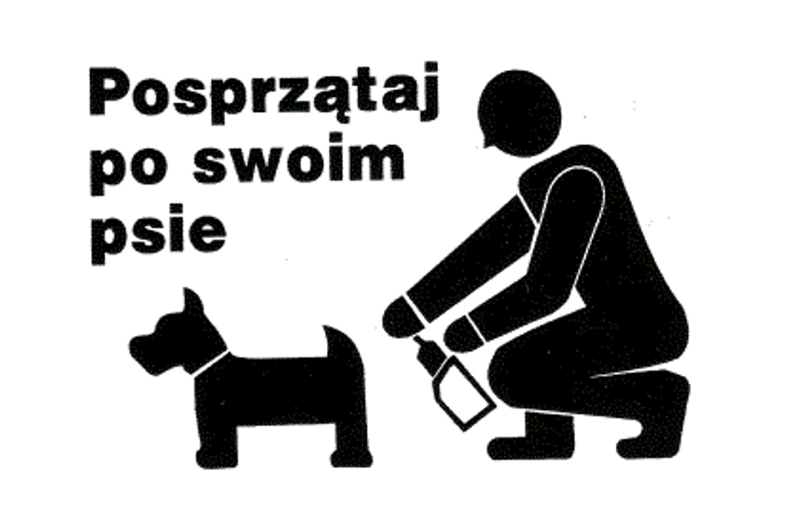 Psie kupy w centrum Psie kupy w centrum