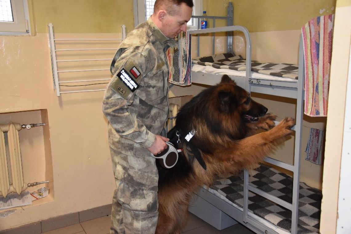 Psy specjalne gdańskiej służby więziennej