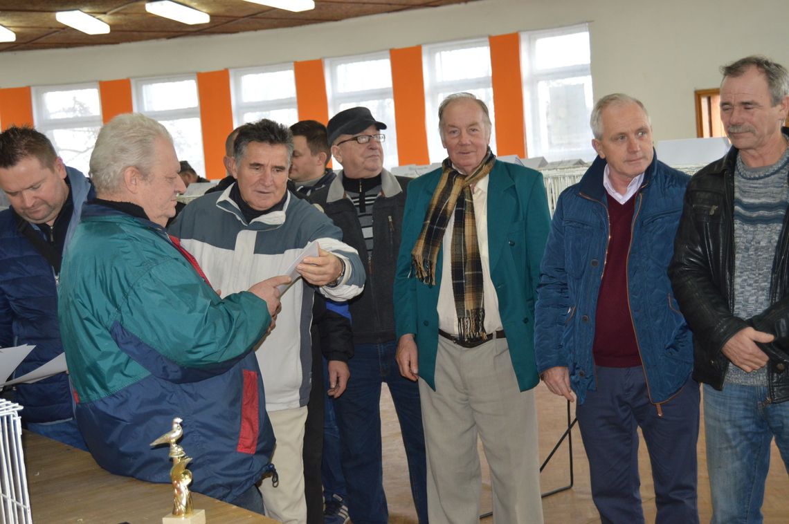 Ptaki coraz bliżej ideału Ptaki coraz bliżej ideału