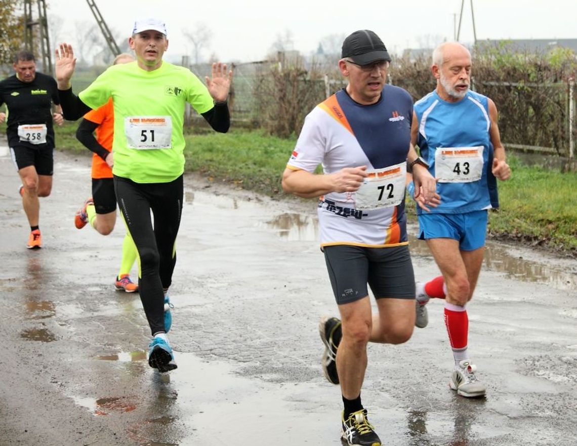 Radość biegania w jesiennym deszczu - 2 Bieg Nadwiślański Szlakiem Dolnej Doliny Wisły Radość biegania w jesiennym deszczu - 2 Bieg Nadwiślański Szlakiem Dolnej Doliny Wisły