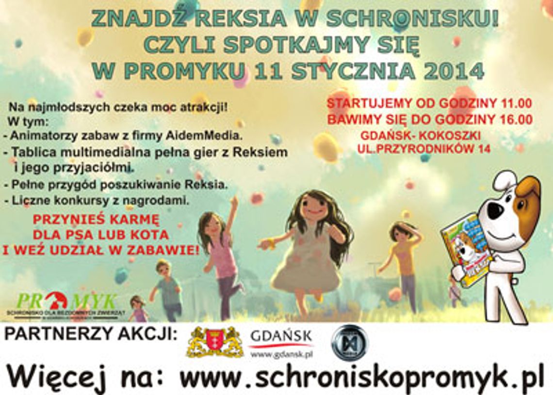 Reksio czeka w schronisku