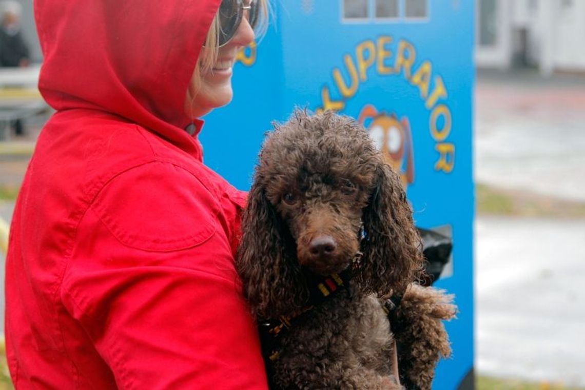 Rekuperator przy molo w Brzeźnie Rekuperator przy molo w Brzeźnie