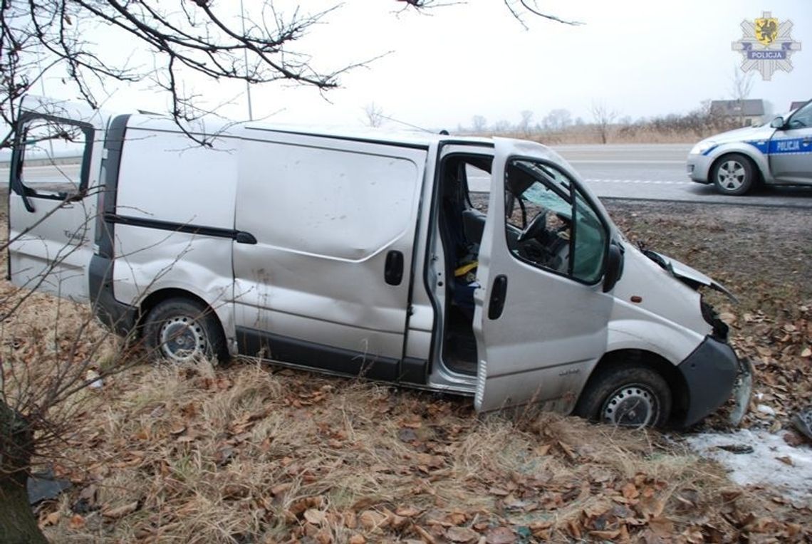 Renault w rowie, osiem osób w szpitalu