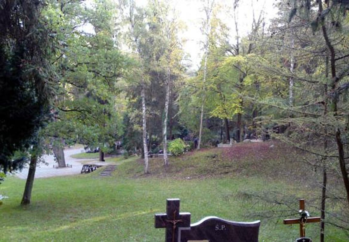 Rewitalizacja parku miejskiego wzbudza kontrowersje. Plac zabaw i fitness na dawnym cmentarzu Rewitalizacja parku miejskiego wzbudza kontrowersje. Plac zabaw i fitness na dawnym cmentarzu