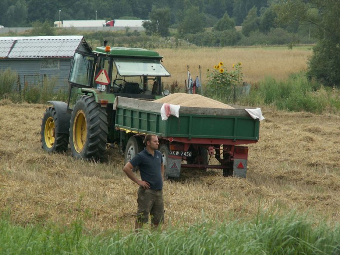 Rolnicy bez odszkodowań. Gospodarze będą zmuszeni dokupować zboże, aby utrzymać obecny inwentarz Rolnicy bez odszkodowań. Gospodarze będą zmuszeni dokupować zboże, aby utrzymać obecny inwentarz