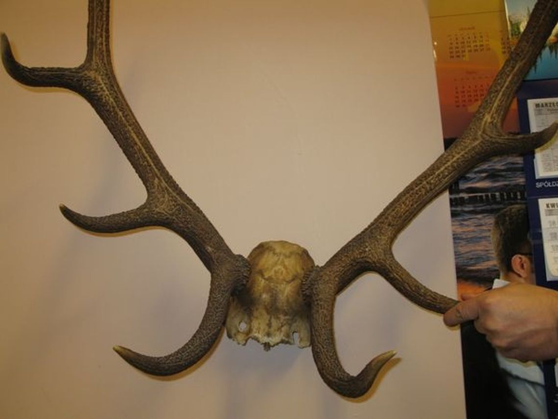 Rozbita grupa włamywaczy