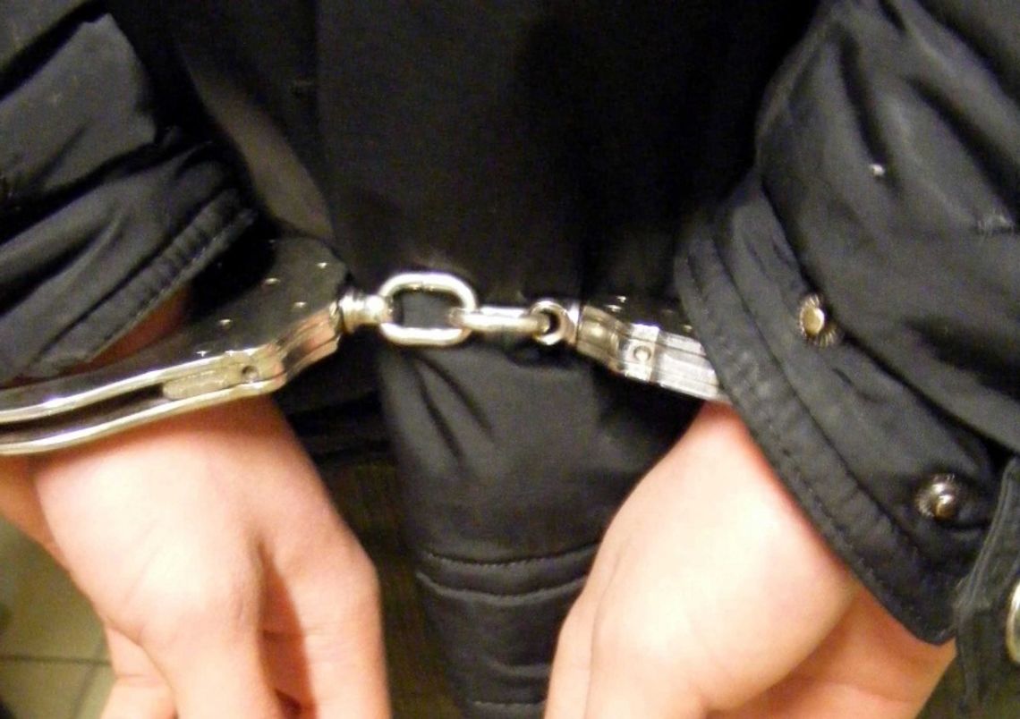 Rozbito przestępczą grupę złodziei samochodów Rozbito przestępczą grupę złodziei samochodów