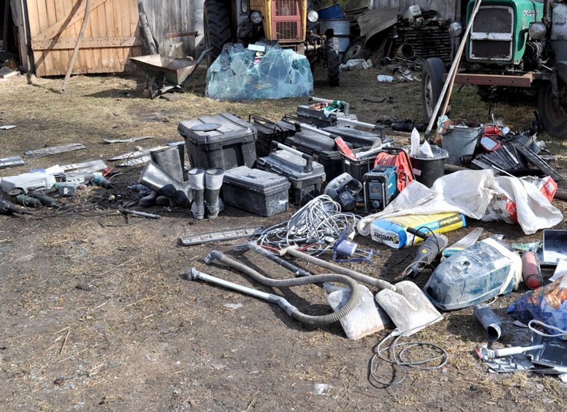 Rozkręcali akurat auto w dziupli. Niespodziewana "wizyta" mundurowych Rozkręcali akurat auto w dziupli. Niespodziewana "wizyta" mundurowych