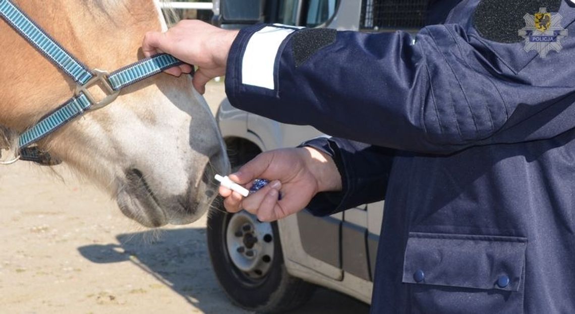 Rumak policyjny - jako alkomat i narko-tester Rumak policyjny - jako alkomat i narko-tester