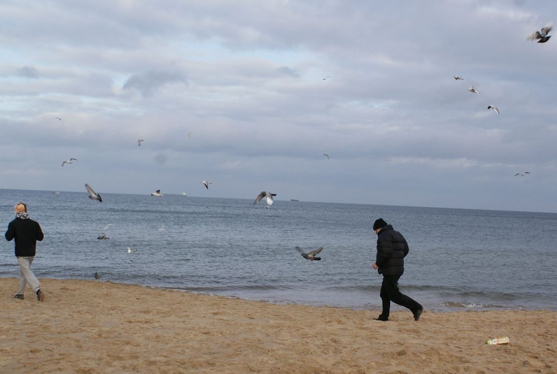 Rusz się! Cztery wiosenne aktywności dla poprawy efektywności Rusz się! Cztery wiosenne aktywności dla poprawy efektywności