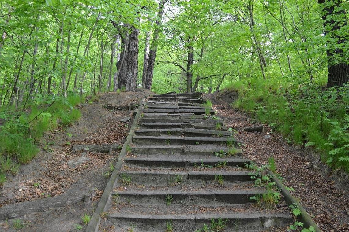 Ruszają prace na Pachołku