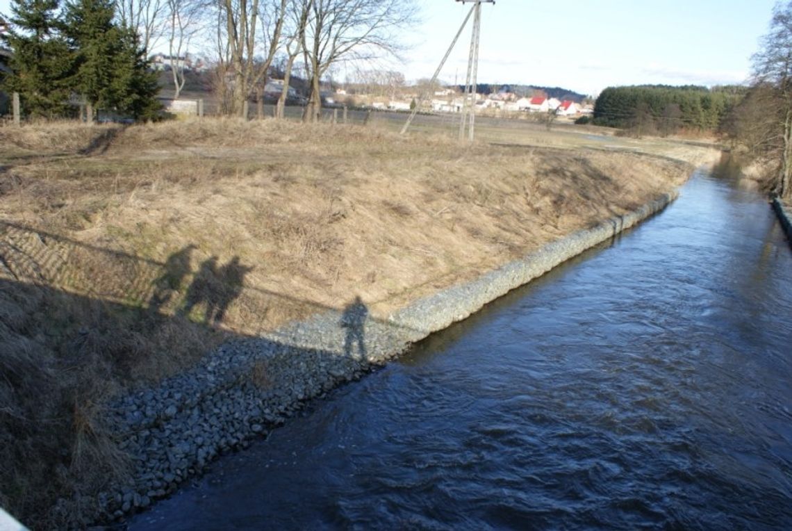 Rybki mają głos. Chronić naturę czy rozwijać miasto? Rybki mają głos. Chronić naturę czy rozwijać miasto?
