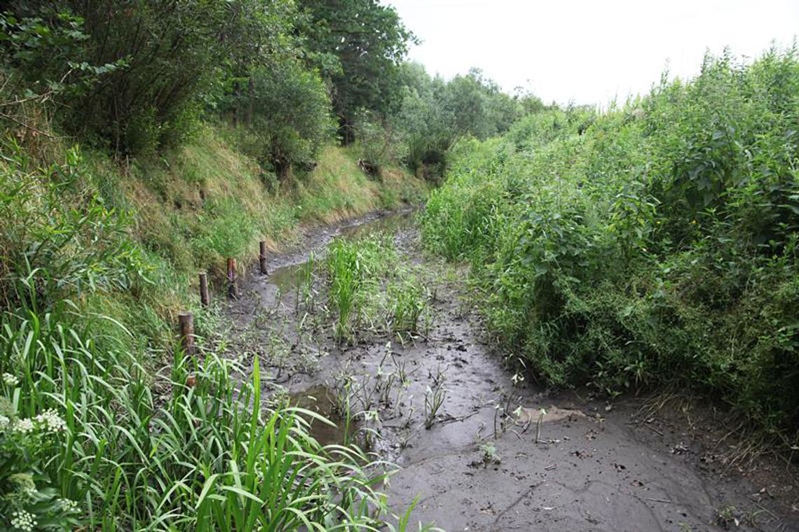 Rzeka Liwa znowu nie płynie