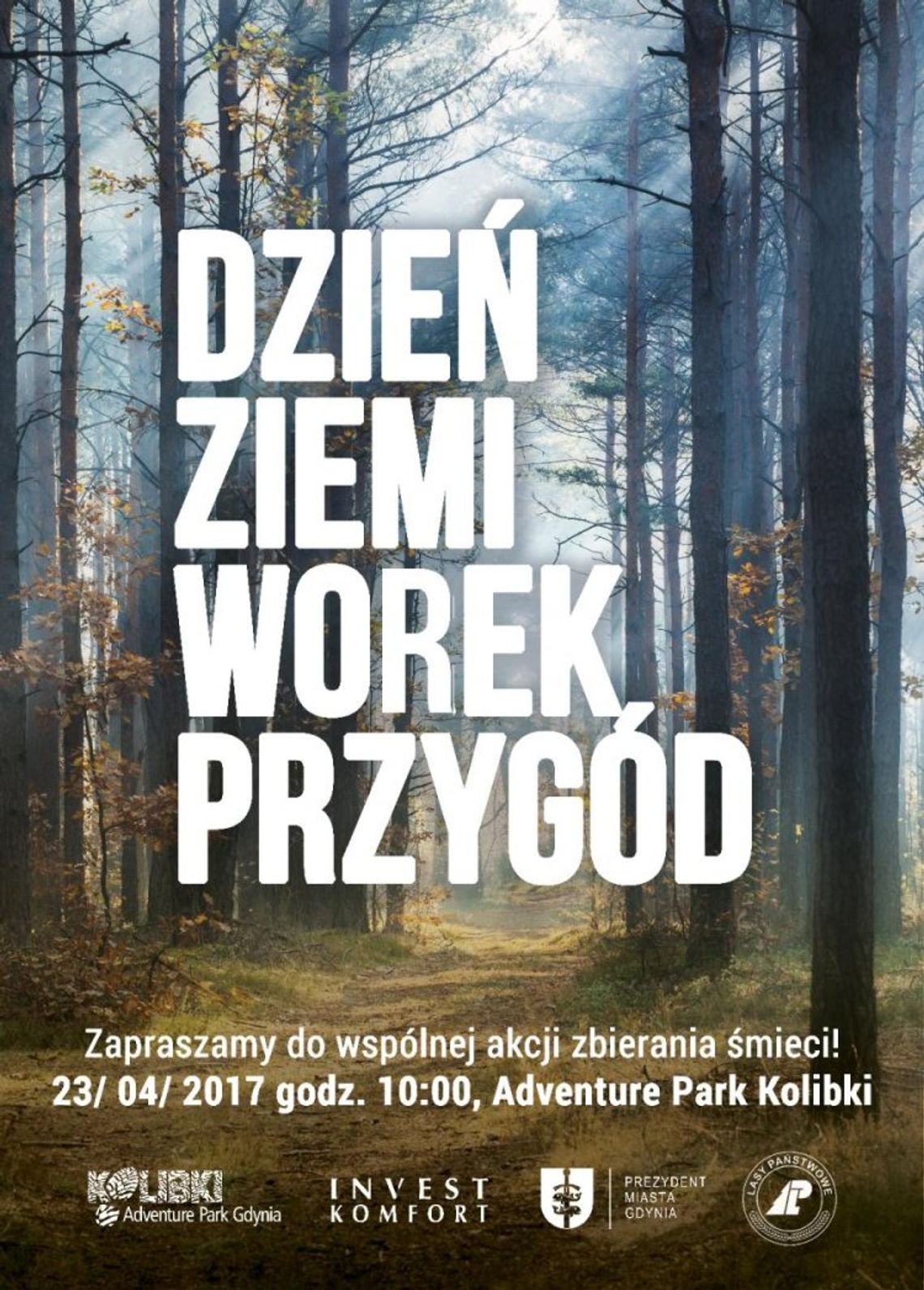 Rzuć wszystko i chodź sprzątać las! 