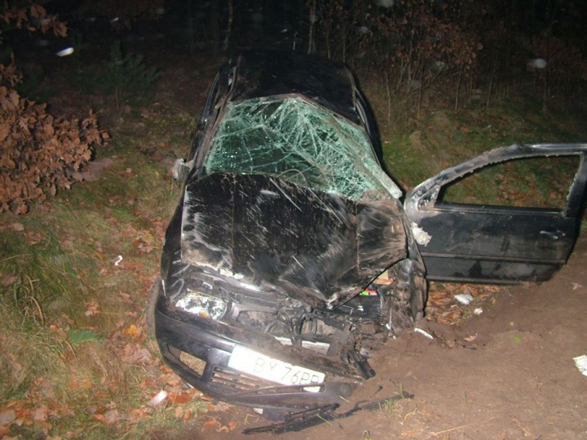 Sarna na drodze - koziołkami do rowu Sarna na drodze - koziołkami do rowu