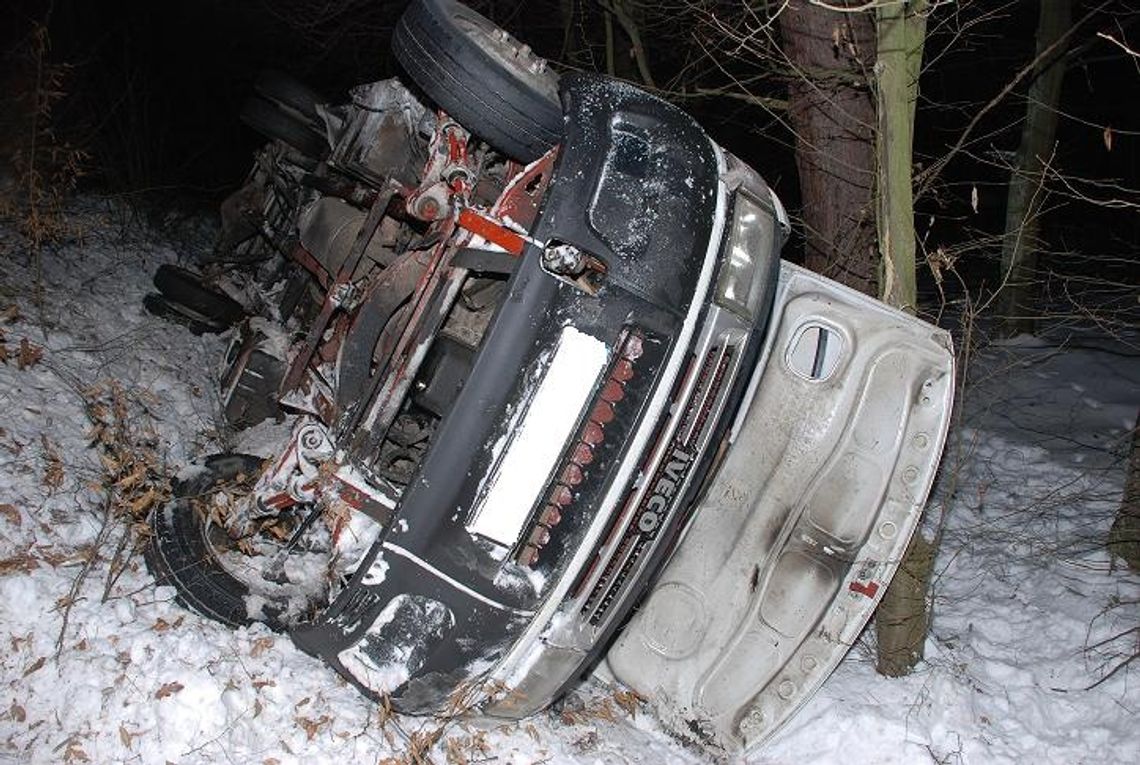 Sarny wyszły na drogę, autobus stoczył się ze skarpy – są ranni