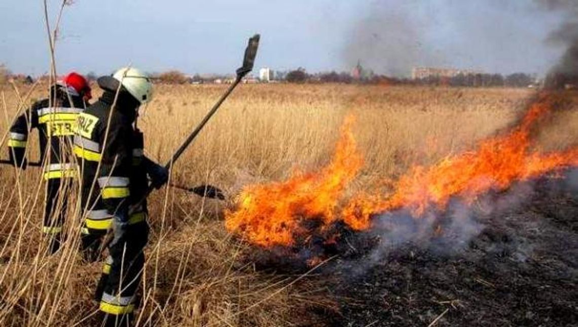 Sąsiedzi rozpalają śmierdzące ogniska. Zanim podpalisz, zastanów się czy nie narazisz życia innych