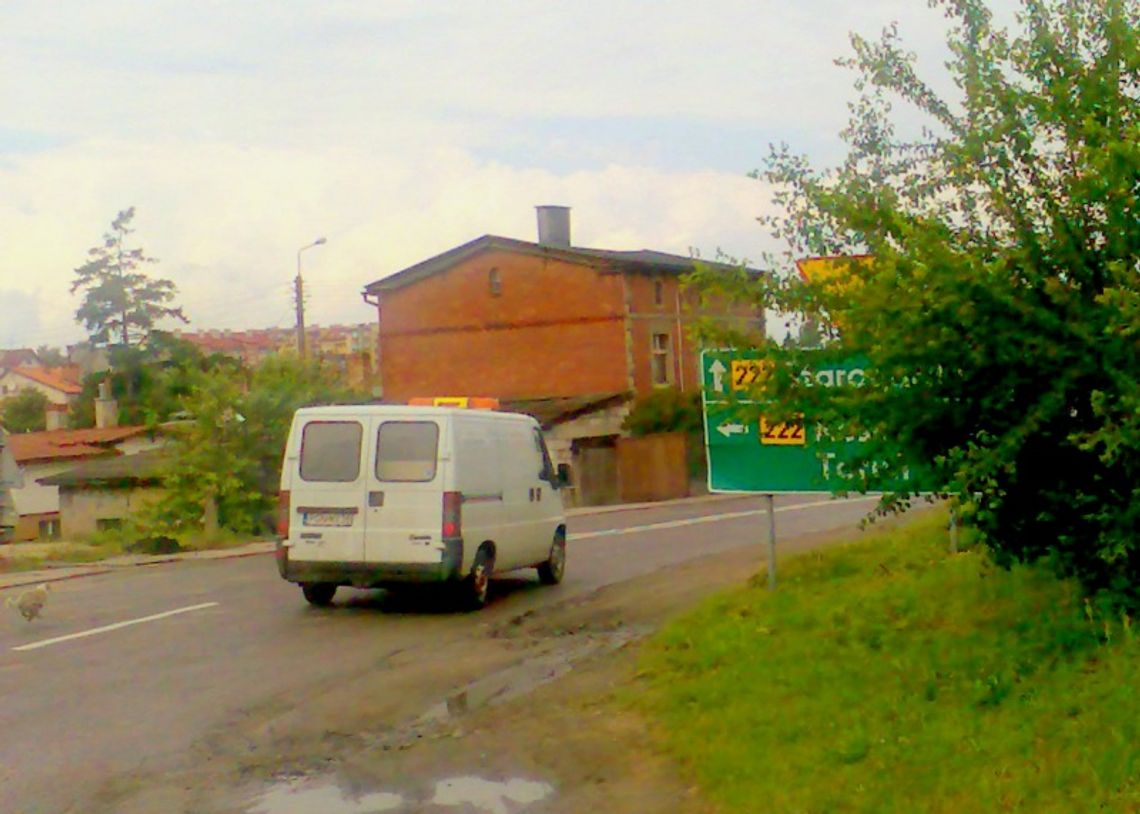 Schowana za krzakami Schowana za krzakami