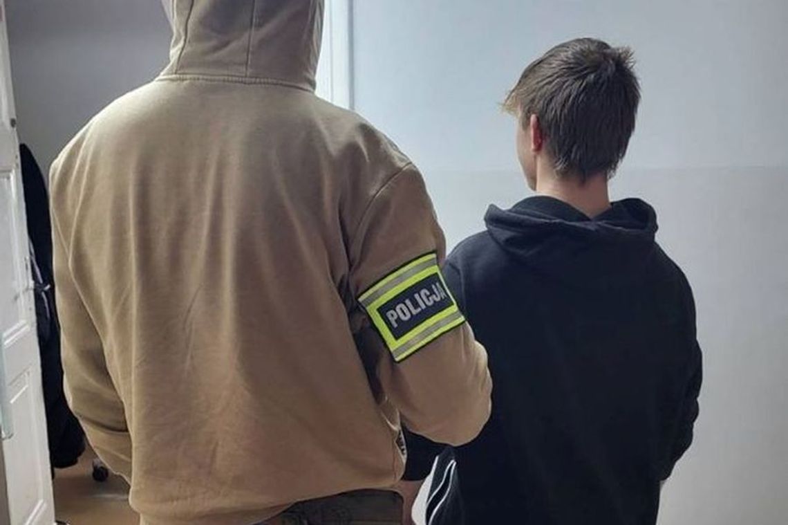 Seria drobnych kradzieży w mieście – sprawca odpowie przed sądem