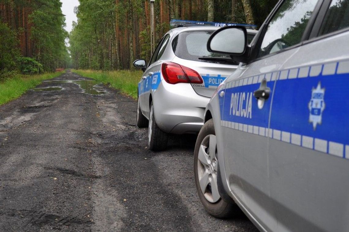 Sezon na grzyby rozpoczęty! Policjanci przypominają o zasadach bezpieczeństwa w lasach