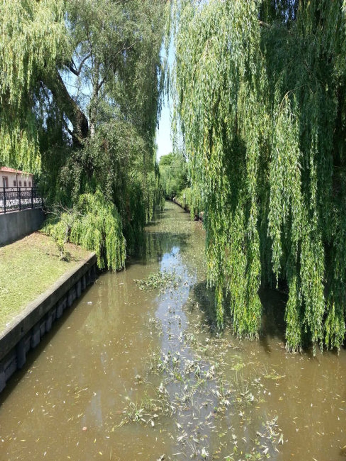 Skanska przebuduje miejski odcinek Kanału Raduni