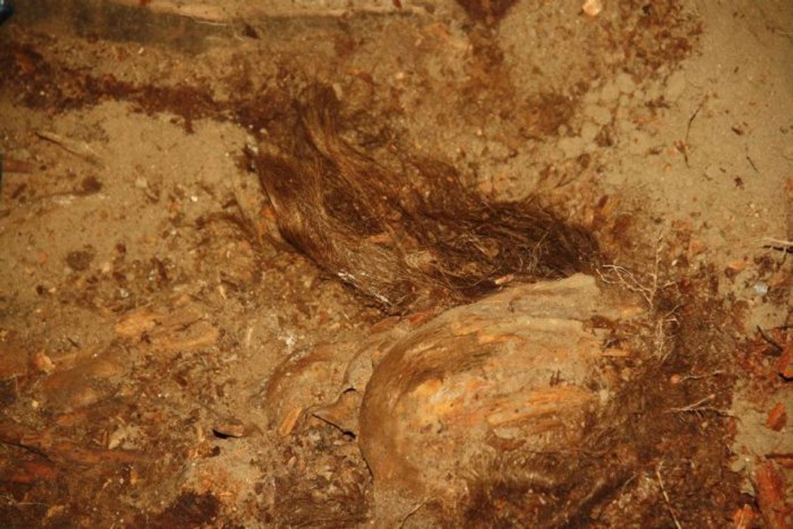 Skarby z trumny. Tydzień prac, a odkryć na całe życie Skarby z trumny. Tydzień prac, a odkryć na całe życie