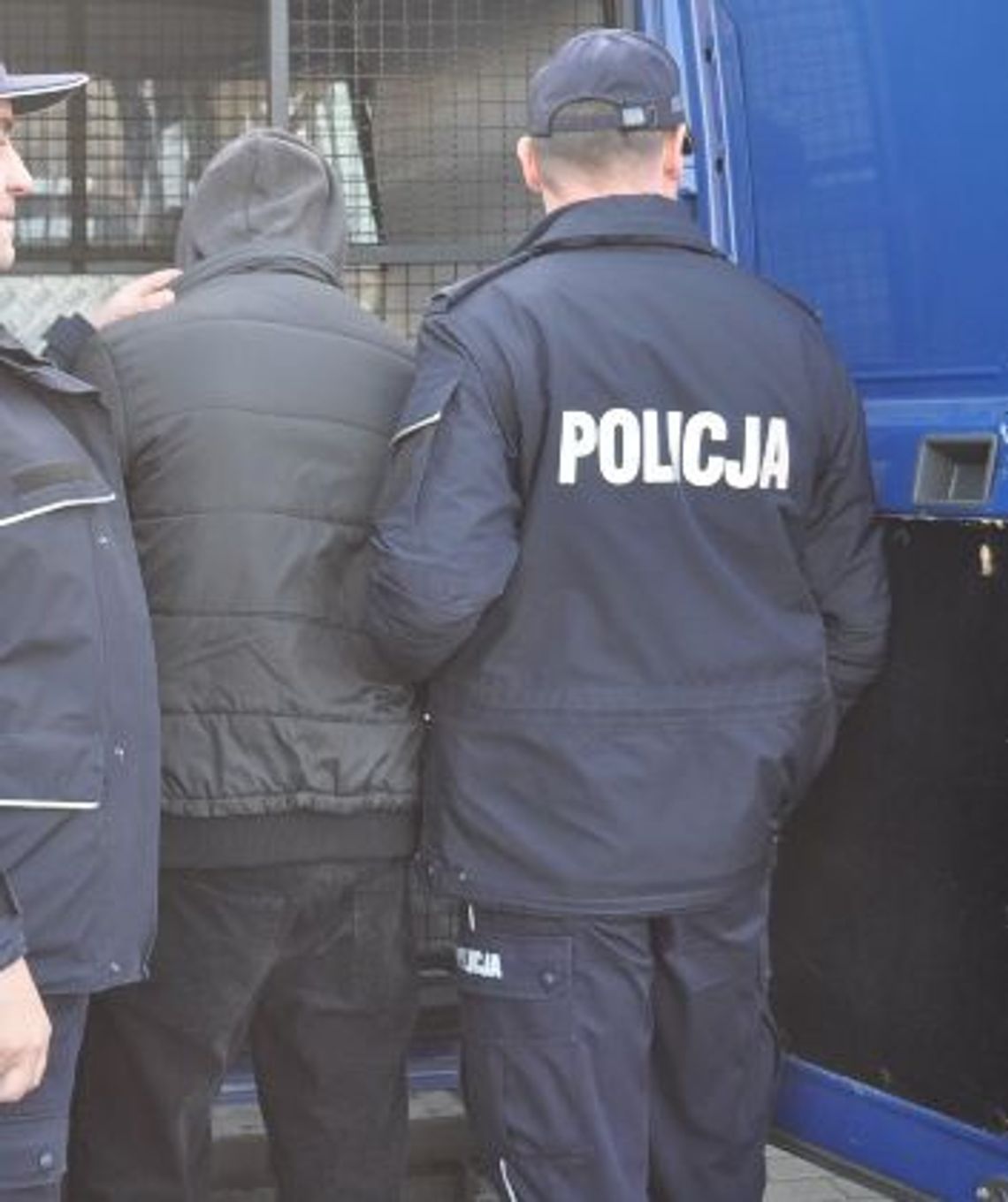 Skradzione auta ukryli w lesie Skradzione auta ukryli w lesie