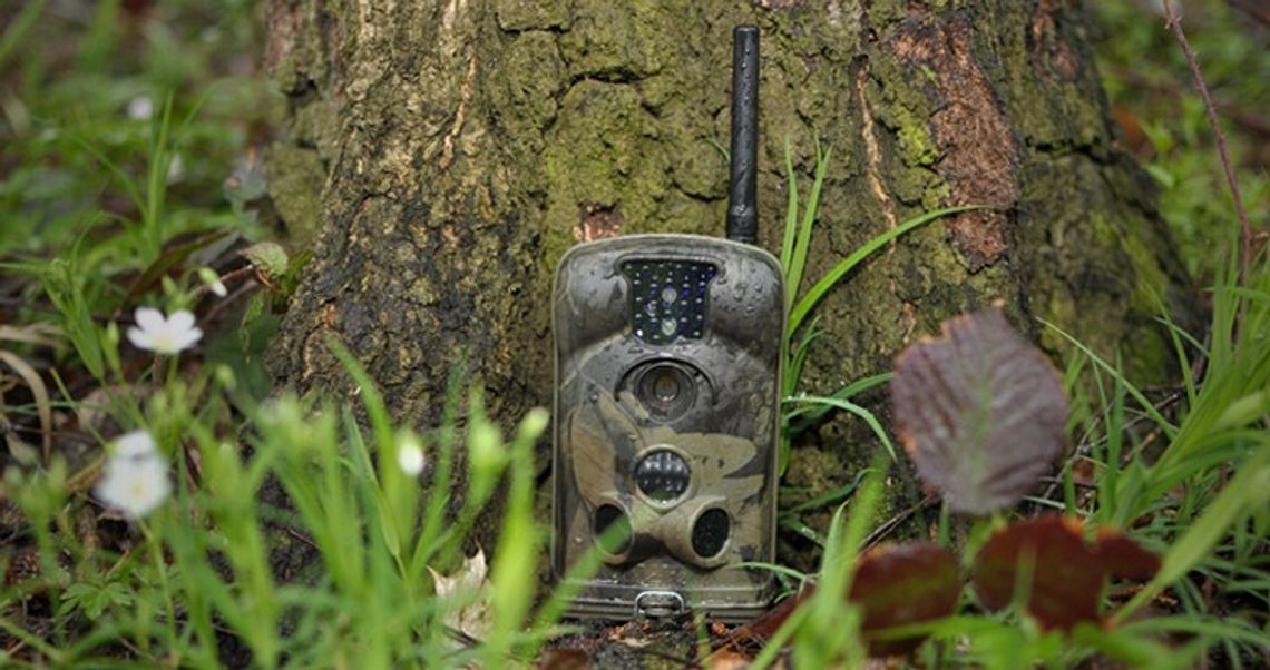 Skuteczny monitoring terenów leśnych Skuteczny monitoring terenów leśnych