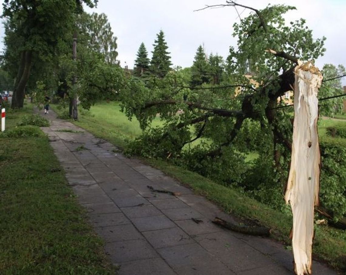 Skutki wichury na Pomorzu. Trzy osoby ranne. Most w Sobieszewie w naprawie - ruch wahadłowy Skutki wichury na Pomorzu. Trzy osoby ranne. Most w Sobieszewie w naprawie - ruch wahadłowy