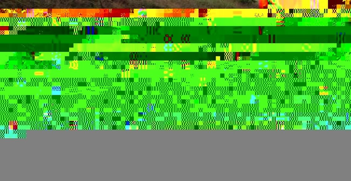 Śledztwo w sprawie śmierci noworodka. Świadkowie poszukiwani