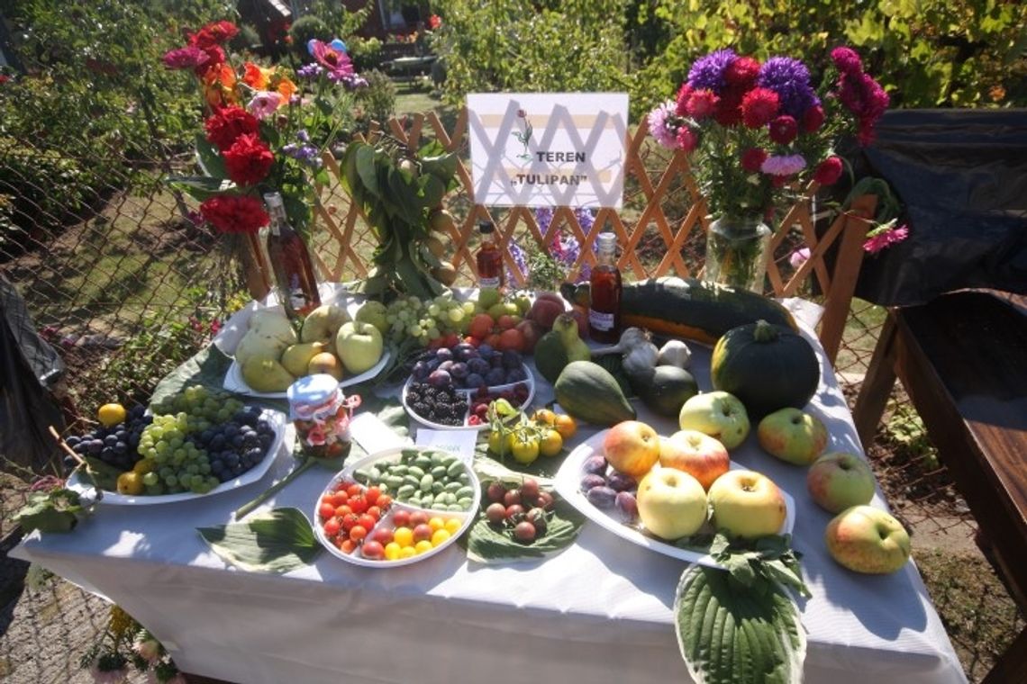 Słońce dopisywało działkowiczom Słońce dopisywało działkowiczom