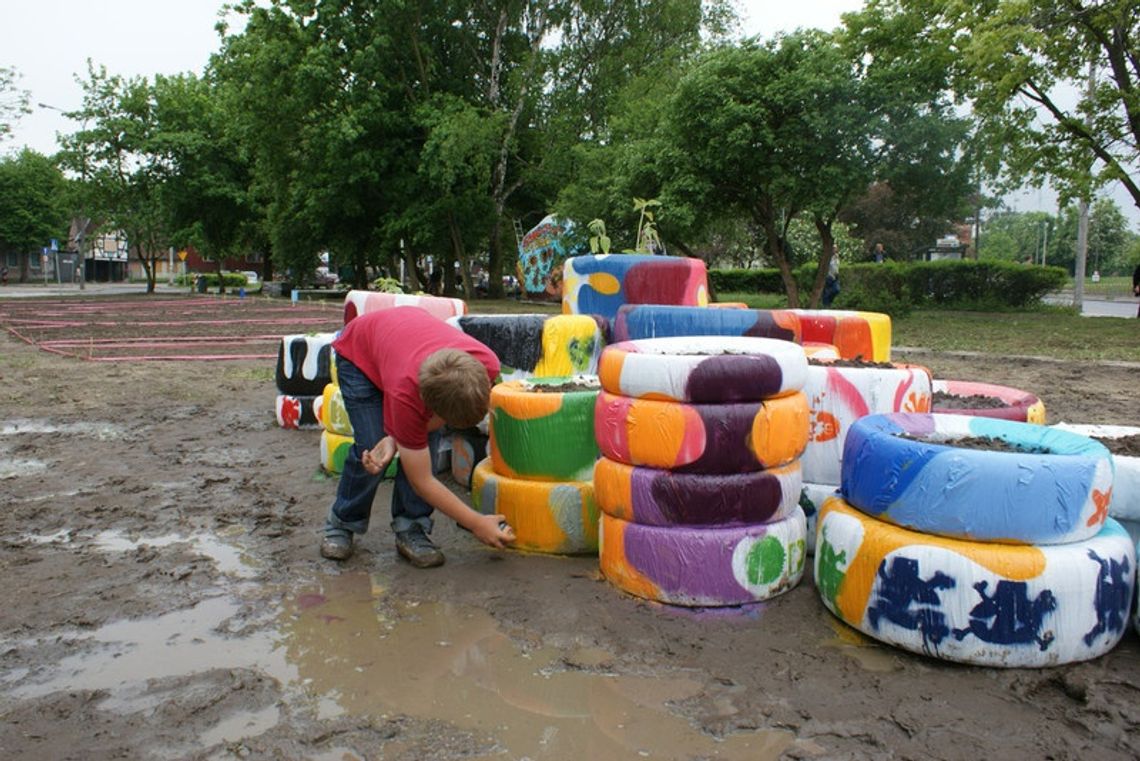 Słoneczniki - w osłonie słońca. "Orunię widzimy Wielką" Słoneczniki - w osłonie słońca. "Orunię widzimy Wielką"