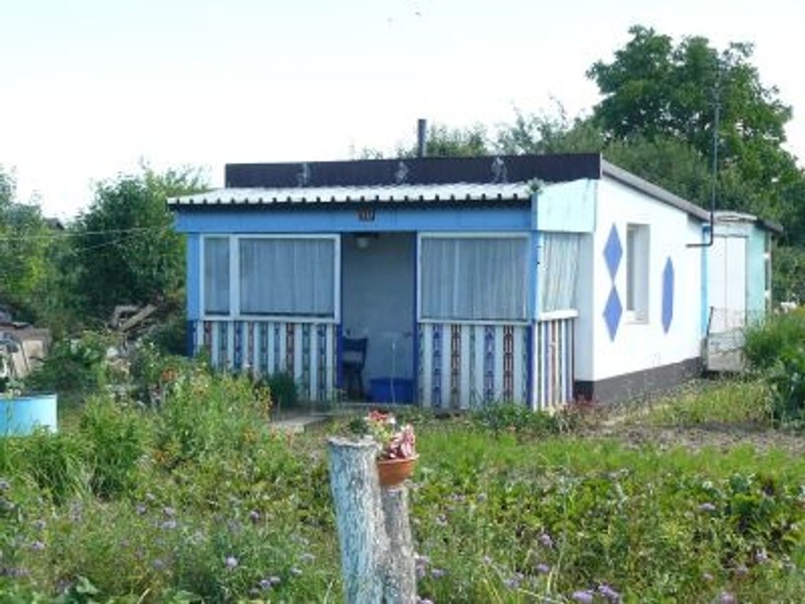 Śmiertelne pobicie na działkach Śmiertelne pobicie na działkach