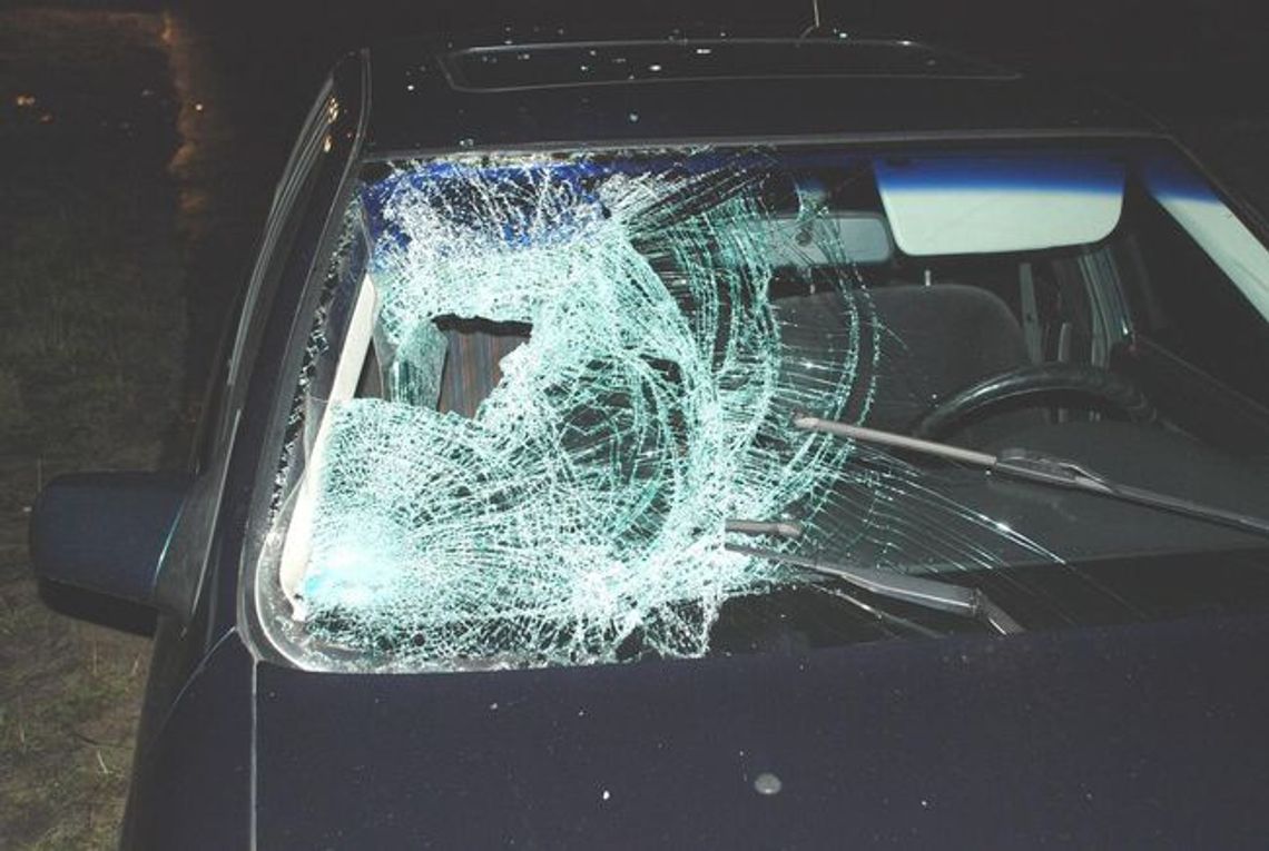 Śmiertelne potrącenie idącego poboczem mieszkańca Sadlinek Śmiertelne potrącenie idącego poboczem mieszkańca Sadlinek