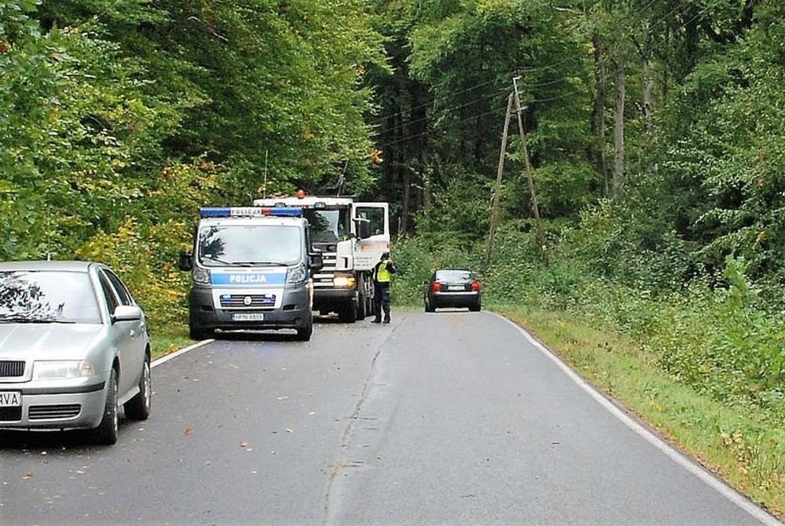 Śmiertelne potrącenie pieszego pomiędzy Ugoszczą a Studzienicami.