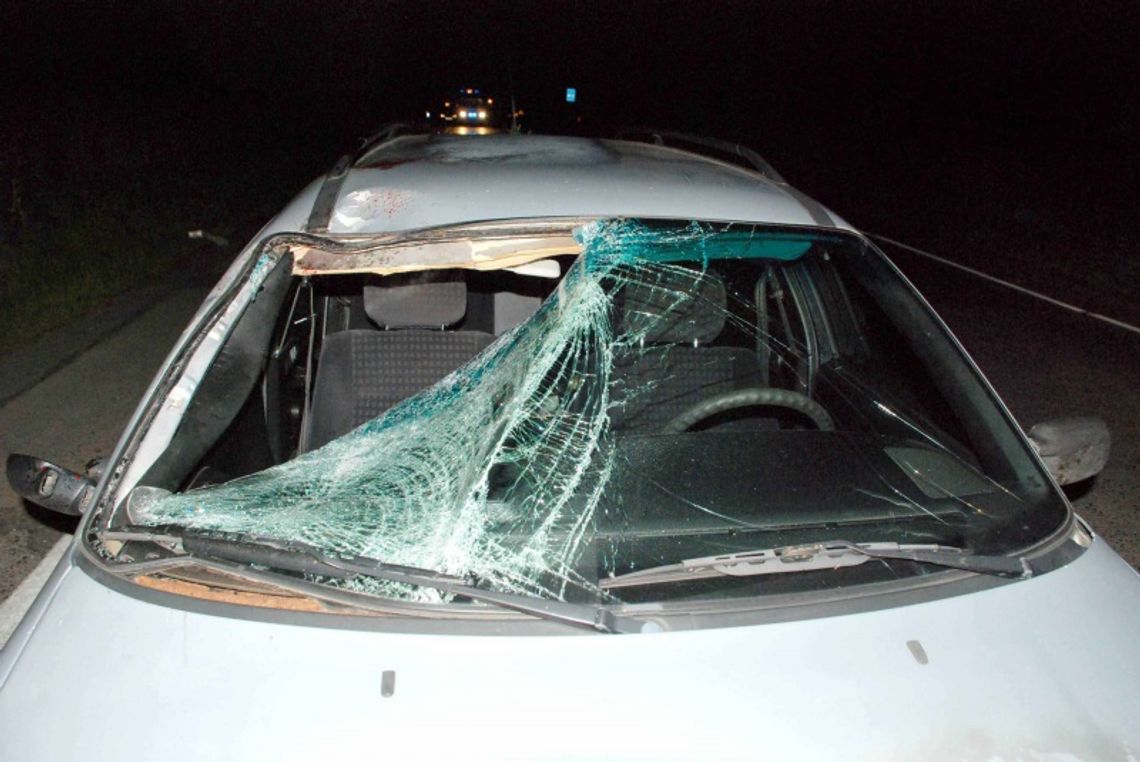 Śmiertelny wypadek na drodze Śmiertelny wypadek na drodze