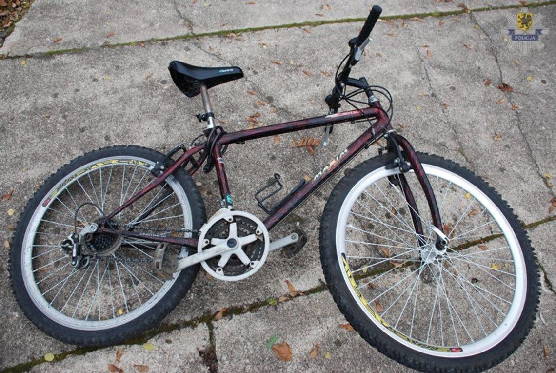 Śmiertelny wypadek rowerzysty